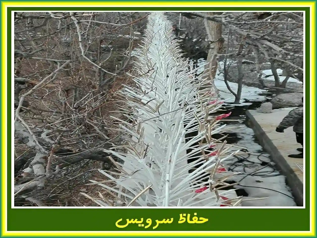 انواع حفاظ دیوار حیاط