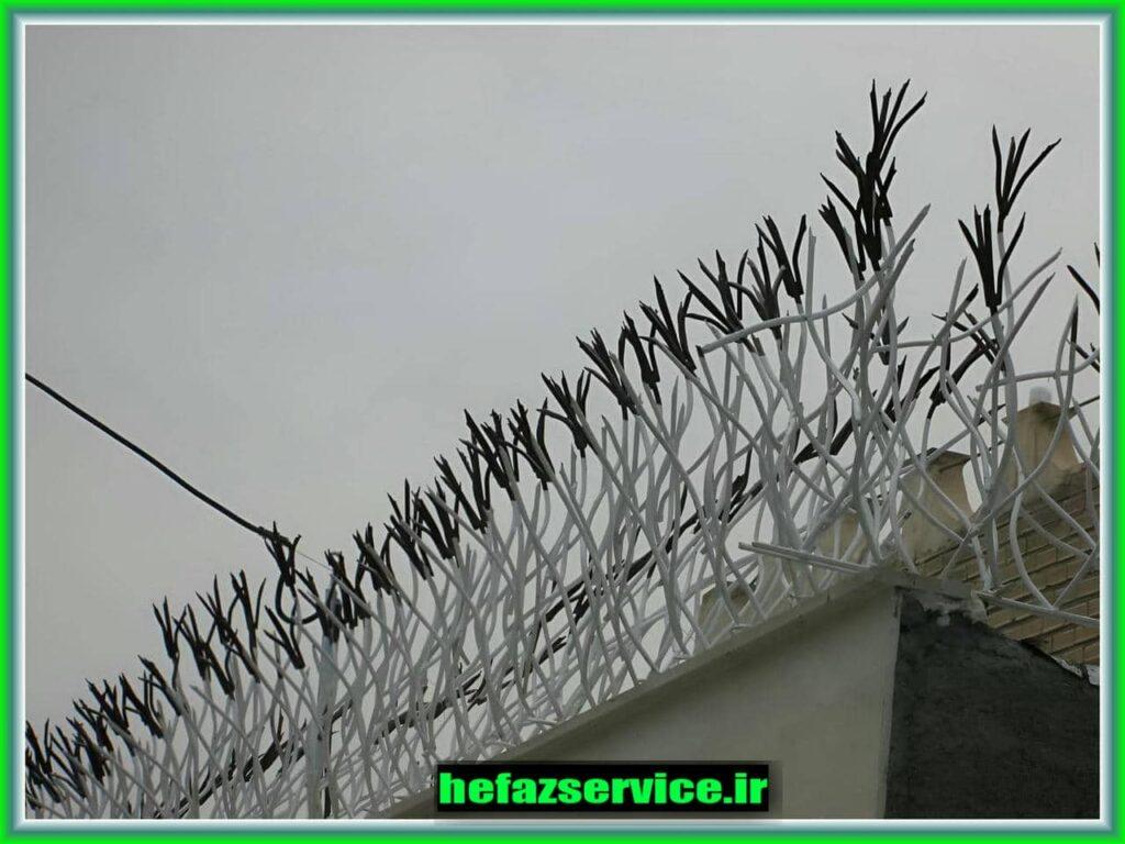 حفاظ لیلیوم چیست؟