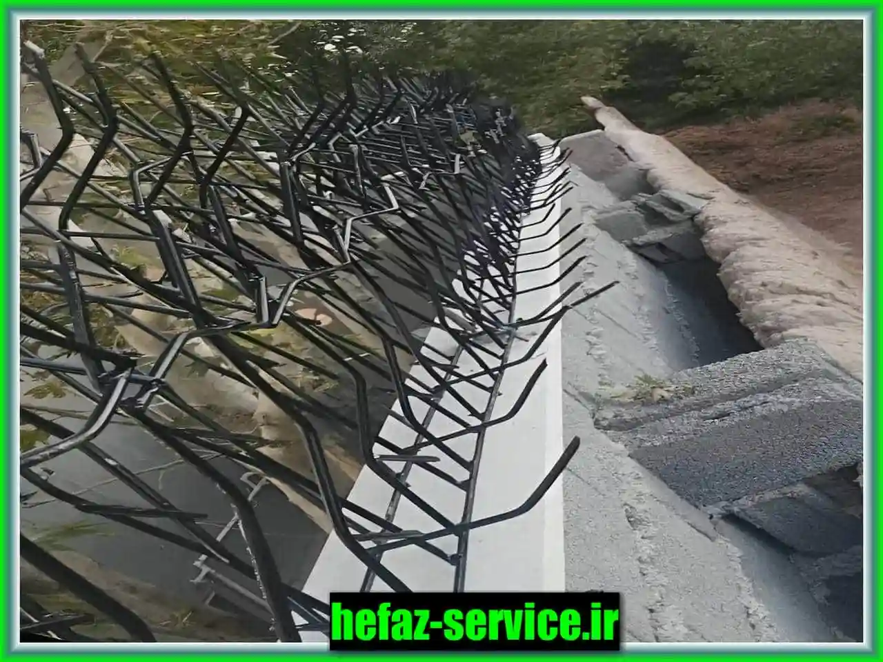 مزیت و معایب حفاظ بوته ای