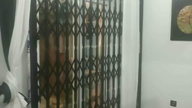 درب آکاردئونی در سبزوار