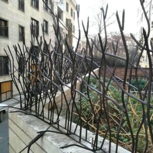 حفاظ شاخ گوزنی در سبزوار