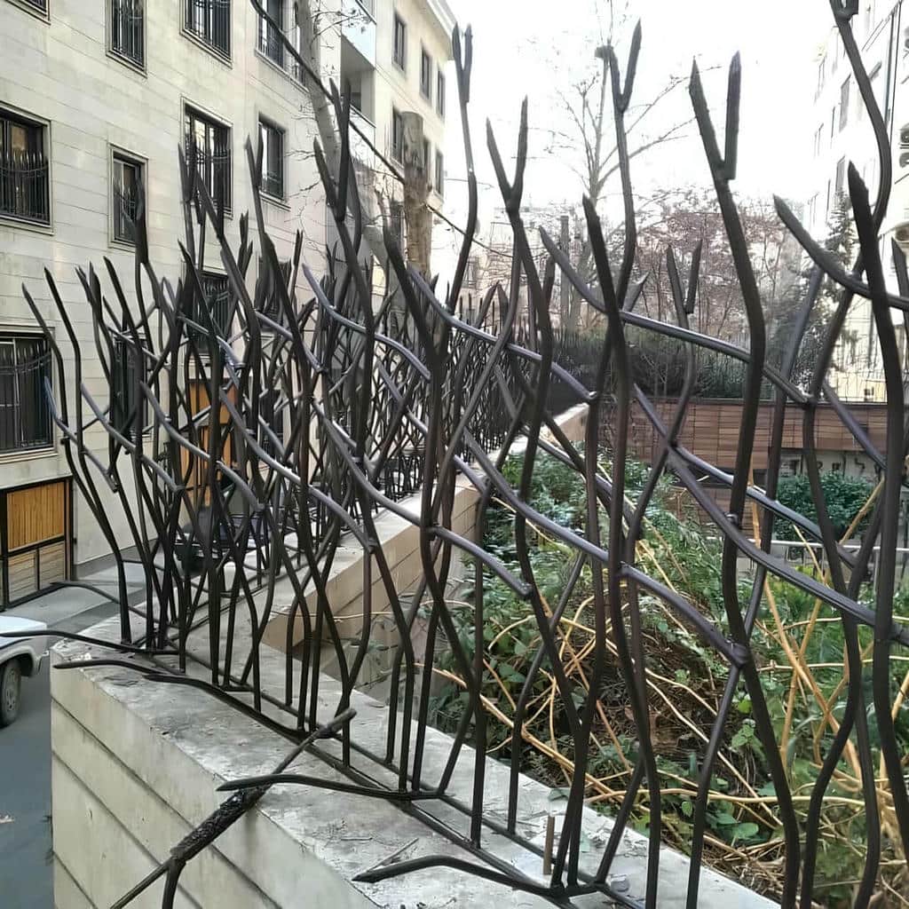 حفاظ شاخ گوزنی در سبزوار