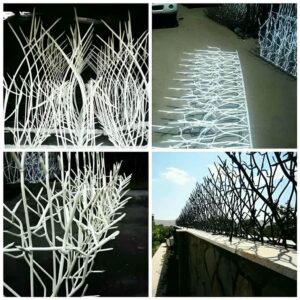 حفاظ شاخ گوزنی در ایلام