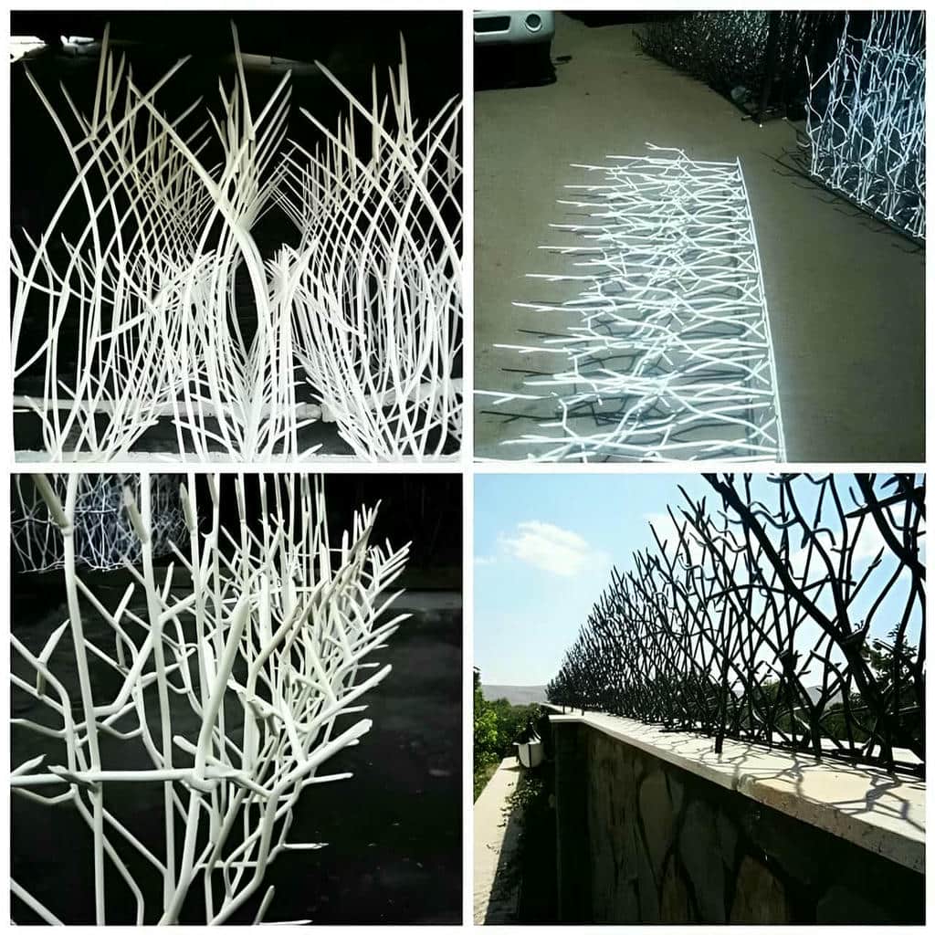 حفاظ شاخ گوزنی در ایلام