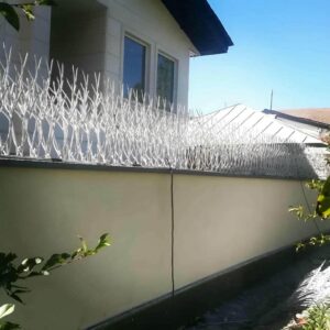 حفاظ شاخ گوزنی در هشتگرد