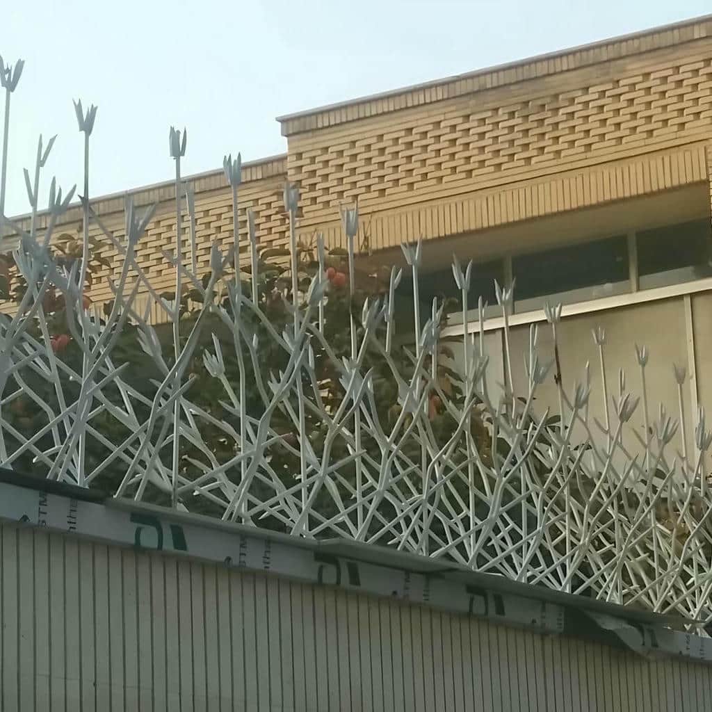 خرید حفاظ شاخ گوزنی متناسب نما در استان گلستان