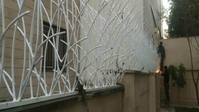 حفاظ شاخ گوزنی در اشتهارد