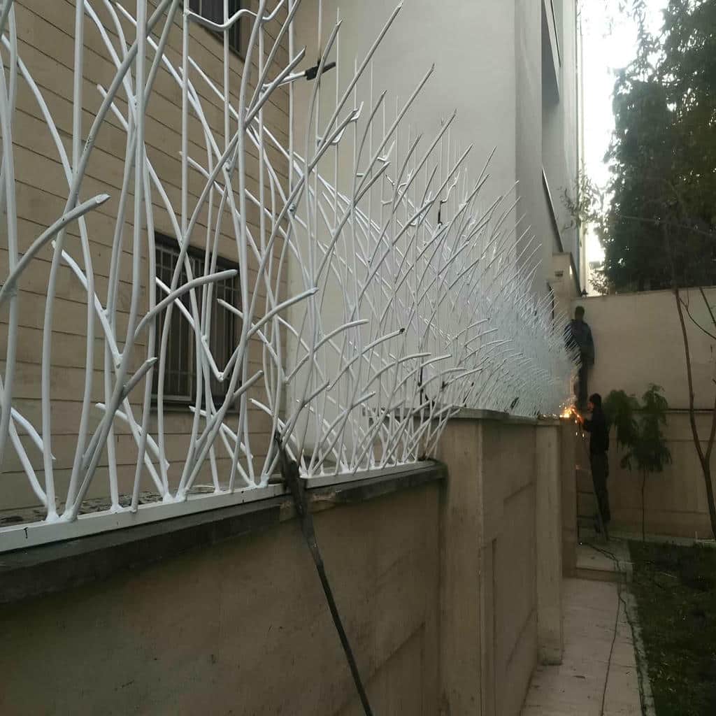 حفاظ شاخ گوزنی در اشتهارد