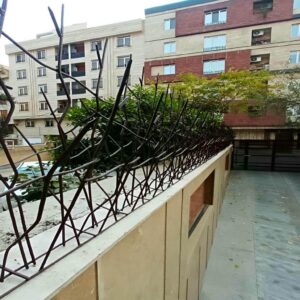 حفاظ شاخ گوزنی در تهران