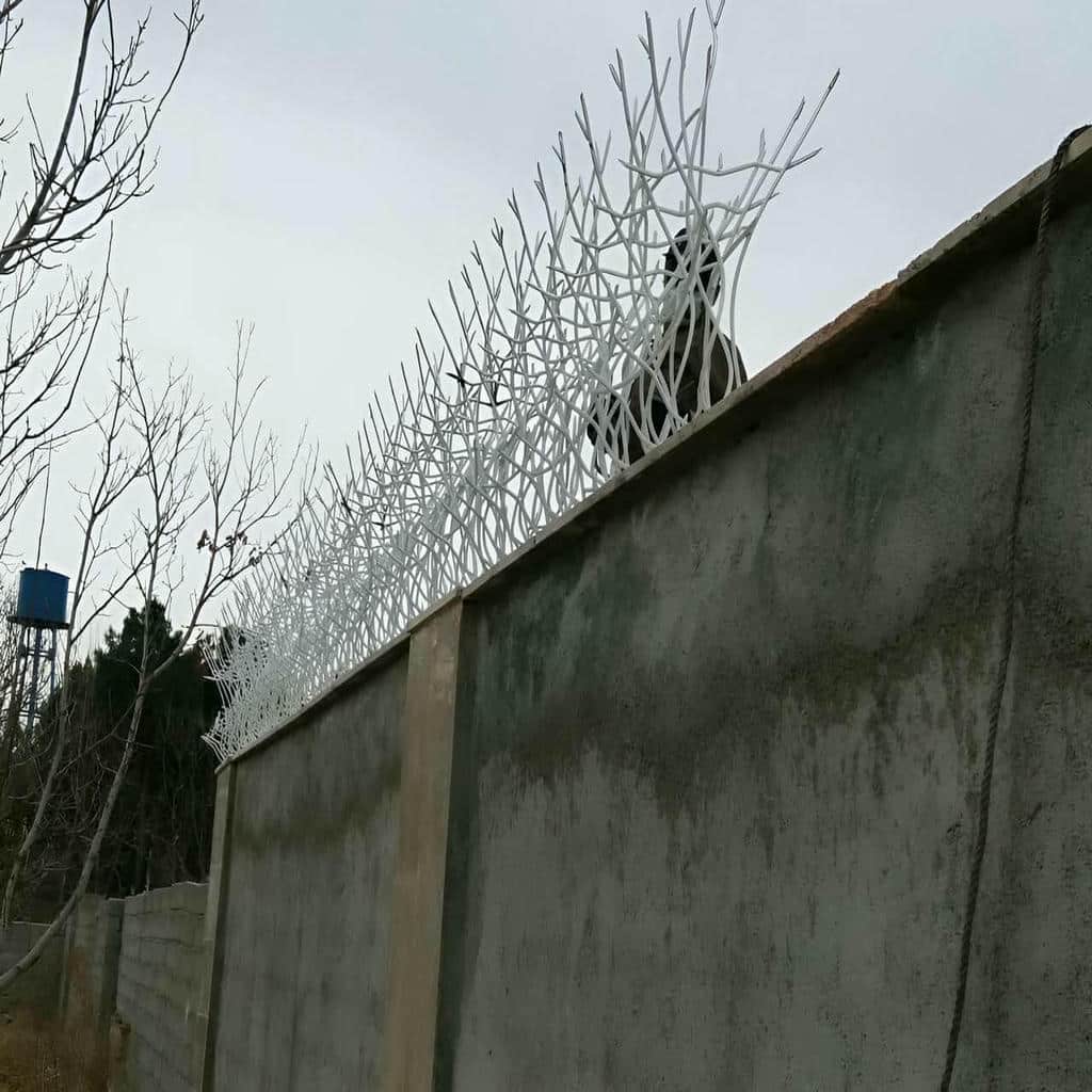 حفاظ شاخ گوزنی در بندر دیلم