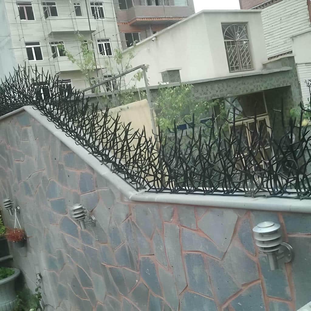 خرید حفاظ شاخ گوزنی ابعاد متناسب در سقز