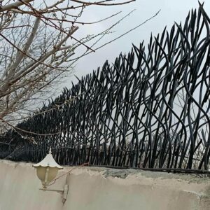 حفاظ شاخ گوزنی در فیروزکوه