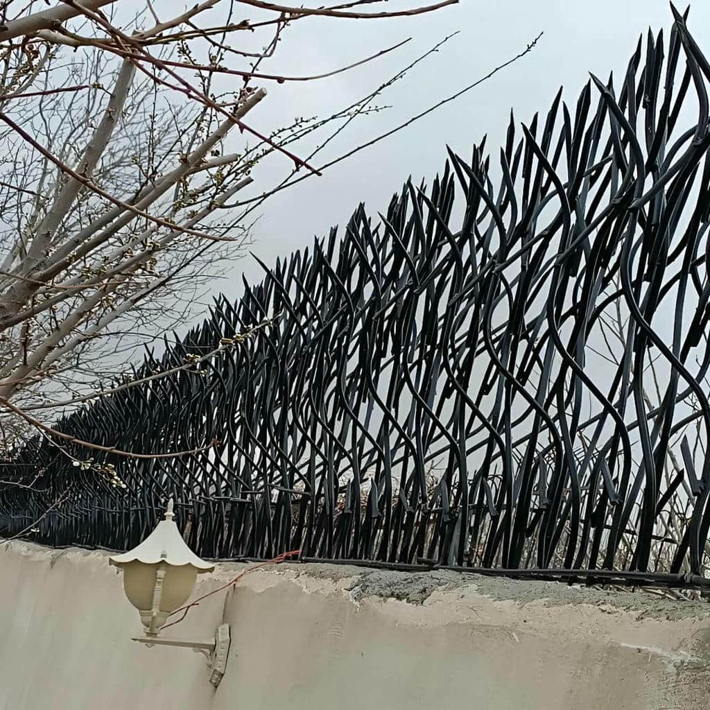 حفاظ شاخ گوزنی در فیروزکوه