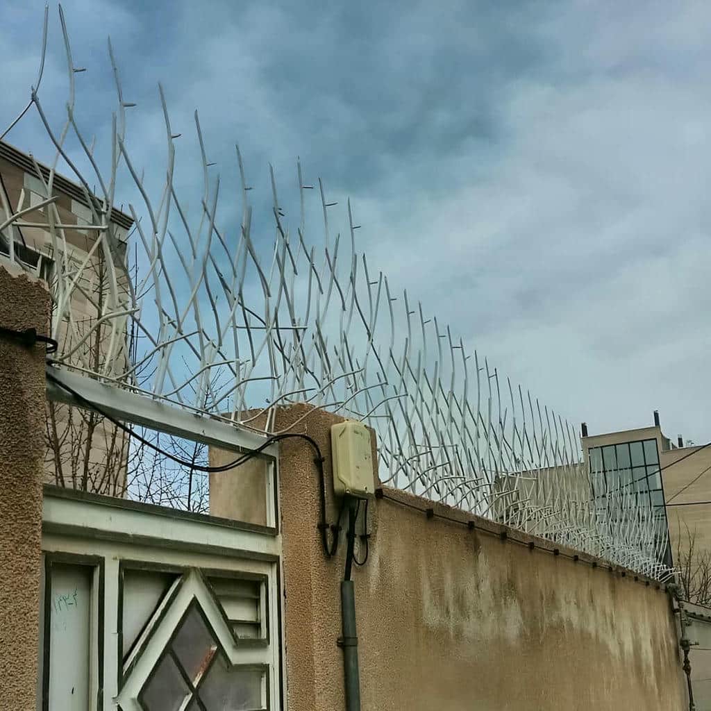 خرید حفاظ شاخ گوزنی متناسب دیوار در گرگان
