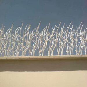 حفاظ شاخ گوزنی در مریوان