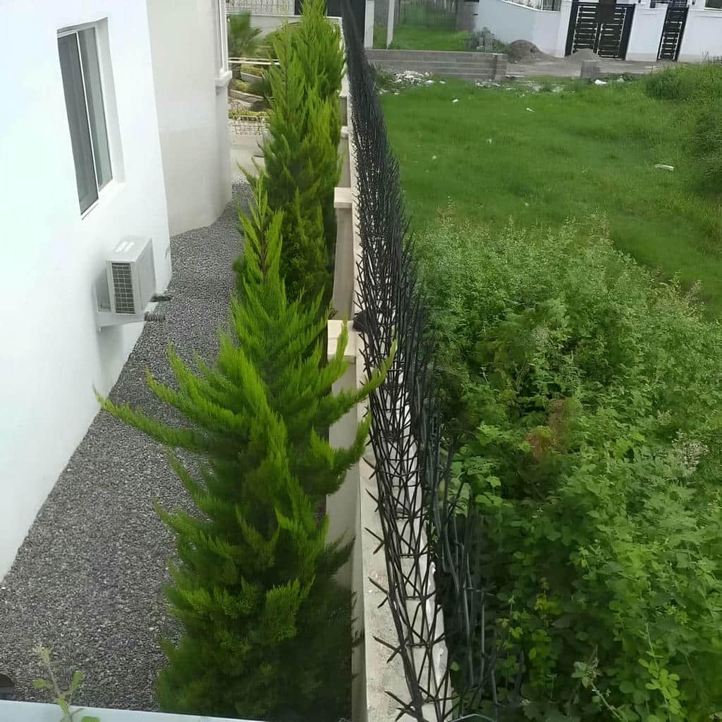 نصب حفاظ شاخ گوزنی هماهنگ نما در اصفهان