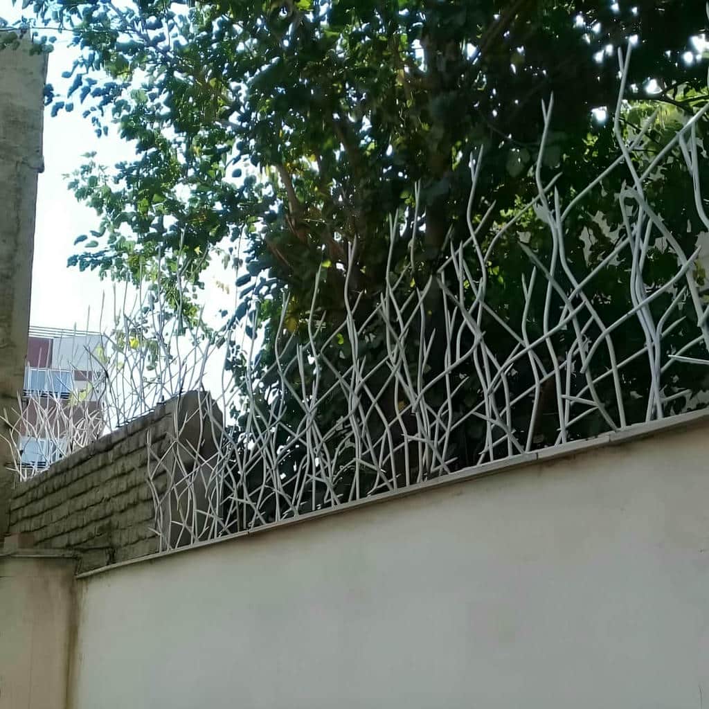 حفاظ شاخ گوزنی در گرگان