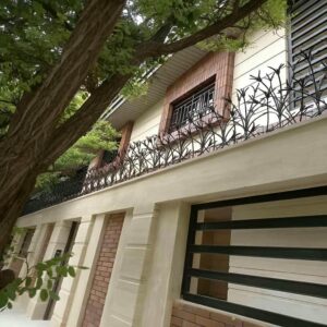 حفاظ شاخ گوزنی در محمودآباد