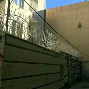 حفاظ شاخ گوزنی در سقز