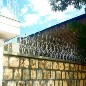 حفاظ شاخ گوزنی در پرند