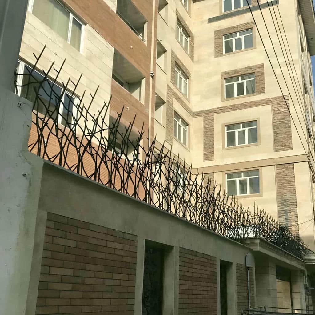 حفاظ شاخ گوزنی در سمنان