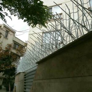 حفاظ شاخ گوزنی در کیش