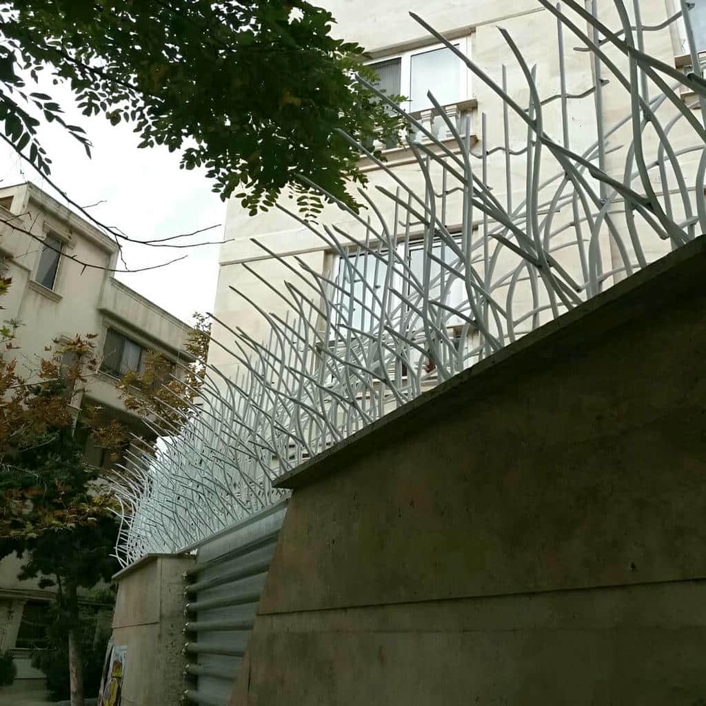 حفاظ شاخ گوزنی در کیش