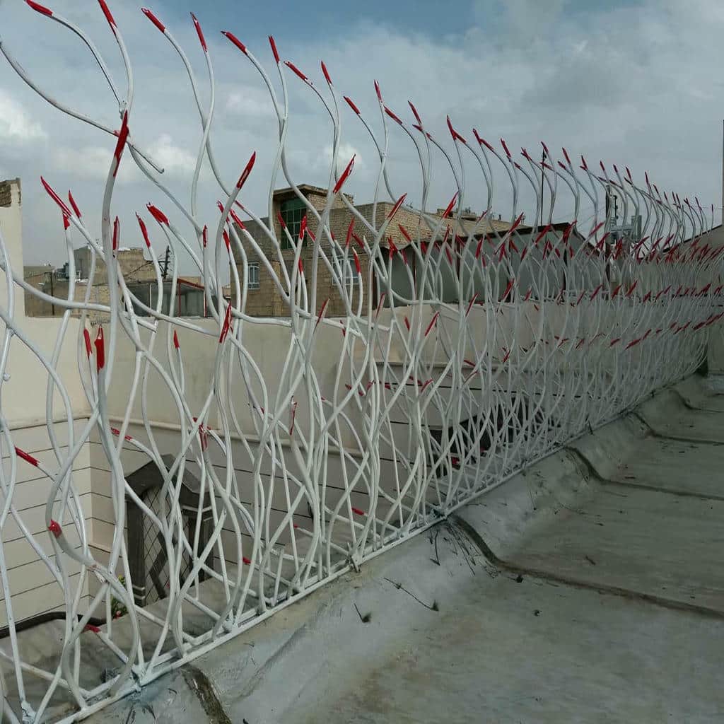 کارخانه حفاظ شاخ گوزنی کنترل کیفیت در نوشهر