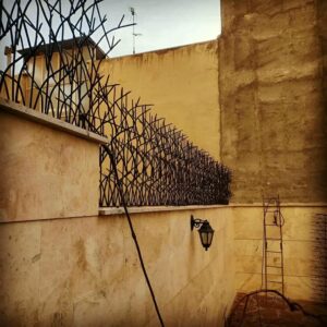 حفاظ شاخ گوزنی در استان مازندران