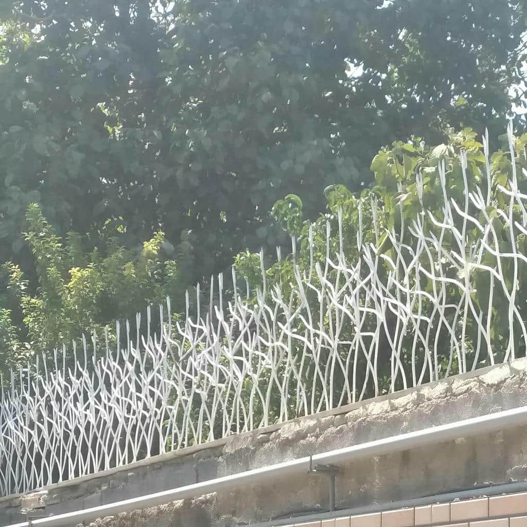 قیمت حفاظ شاخ گوزنی استاندارد در بندر دیلم
