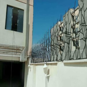 حفاظ شاخ گوزنی در یزد