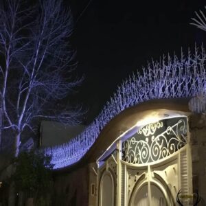 حفاظ شاخ گوزنی در شهریار