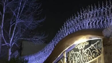 حفاظ شاخ گوزنی در شهریار
