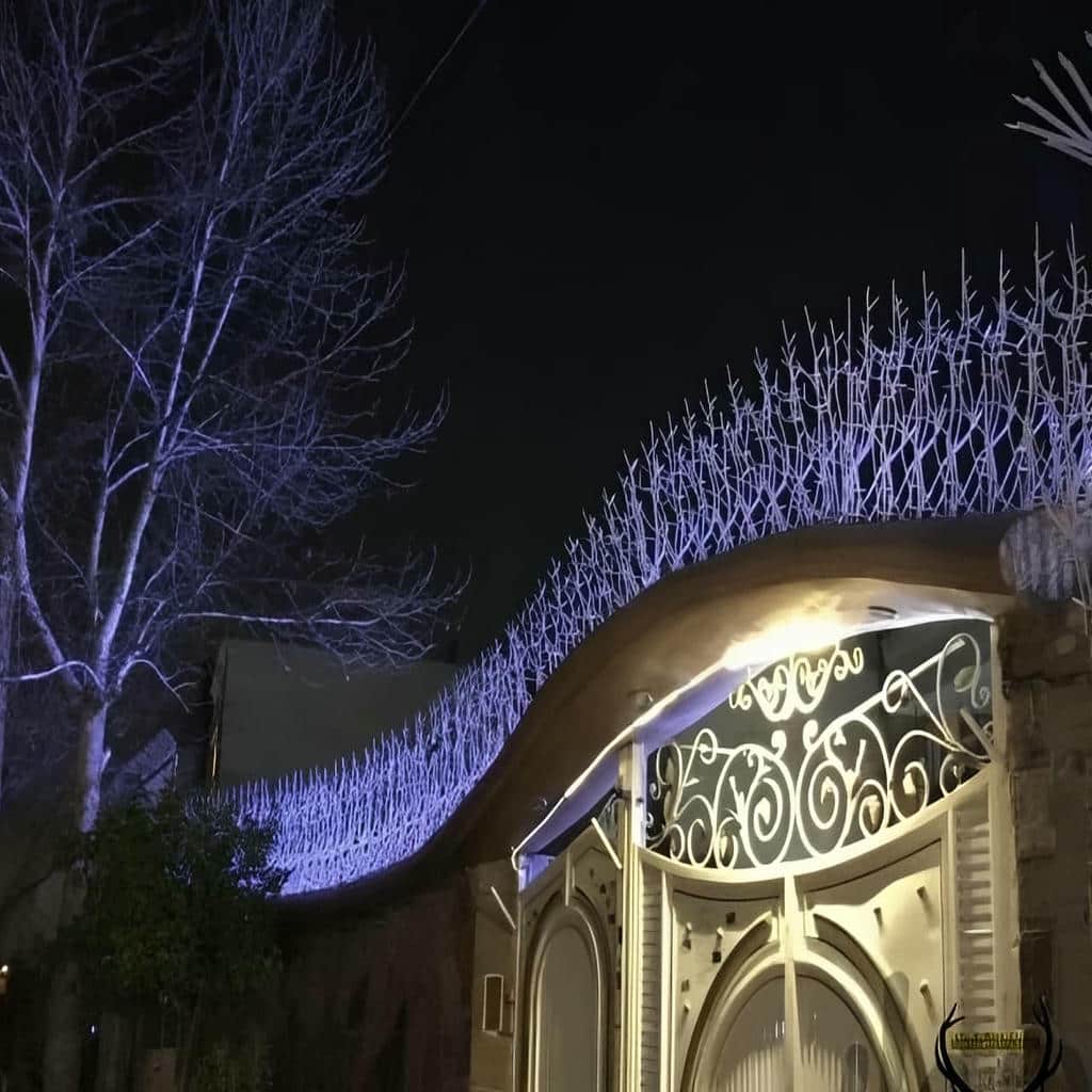 حفاظ شاخ گوزنی در شهریار