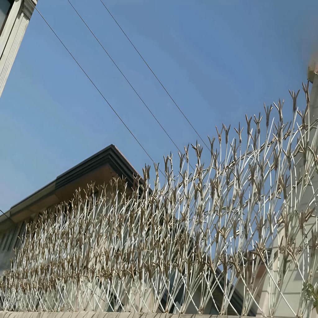 قیمت حفاظ شاخ گوزنی ارتفاع استاندارد در ایلام