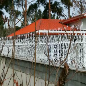 حفاظ شاخ گوزنی در بندر لنگه