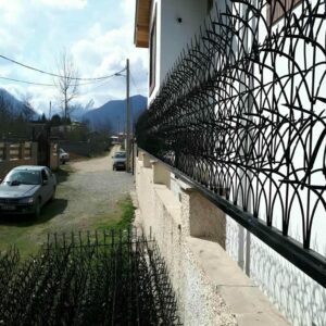 حفاظ شاخ گوزنی در اراک