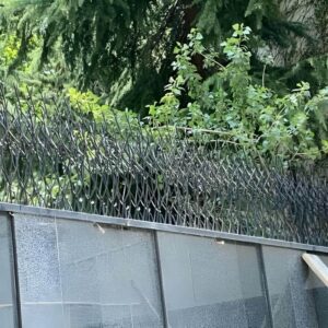 حفاظ شاخ گوزنی در استان خوزستان