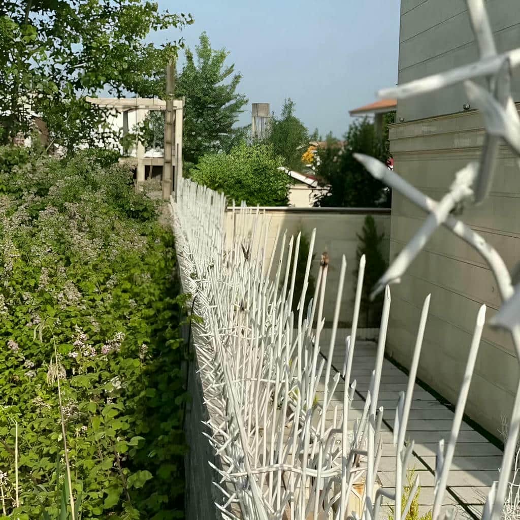 کارخانه حفاظ شاخ گوزنی صنعتی در نسیم شهر