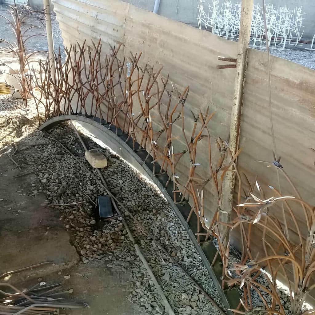 قیمت حفاظ شاخ گوزنی شاخه متراکم در سقز