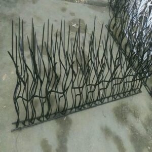 حفاظ شاخ گوزنی در استان گلستان