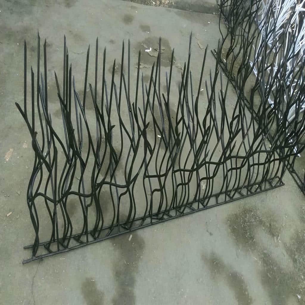 حفاظ شاخ گوزنی در استان گلستان