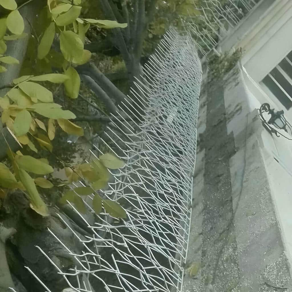 قیمت حفاظ شاخ گوزنی نرده امنیتی در چابهار