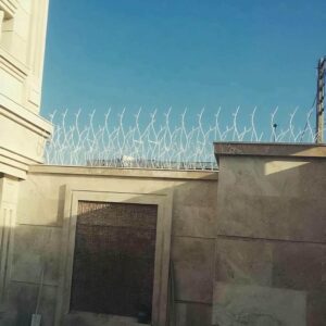 حفاظ شاخ گوزنی در خرم آباد