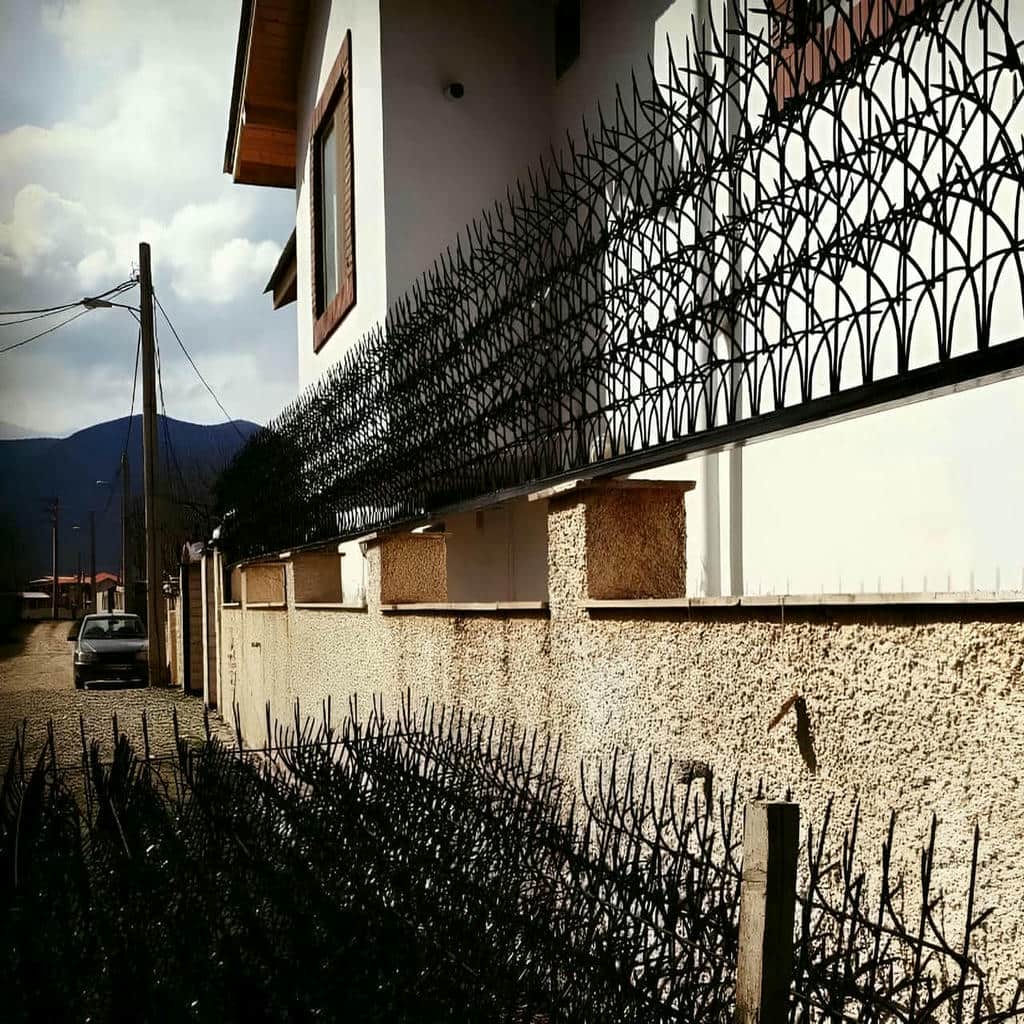 قیمت حفاظ شاخ گوزنی طراحی مدرن در محمودآباد