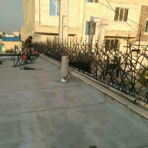 حفاظ شاخ گوزنی در اهواز