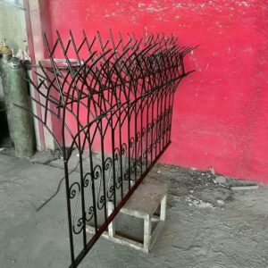 حفاظ شاخ گوزنی در ساری