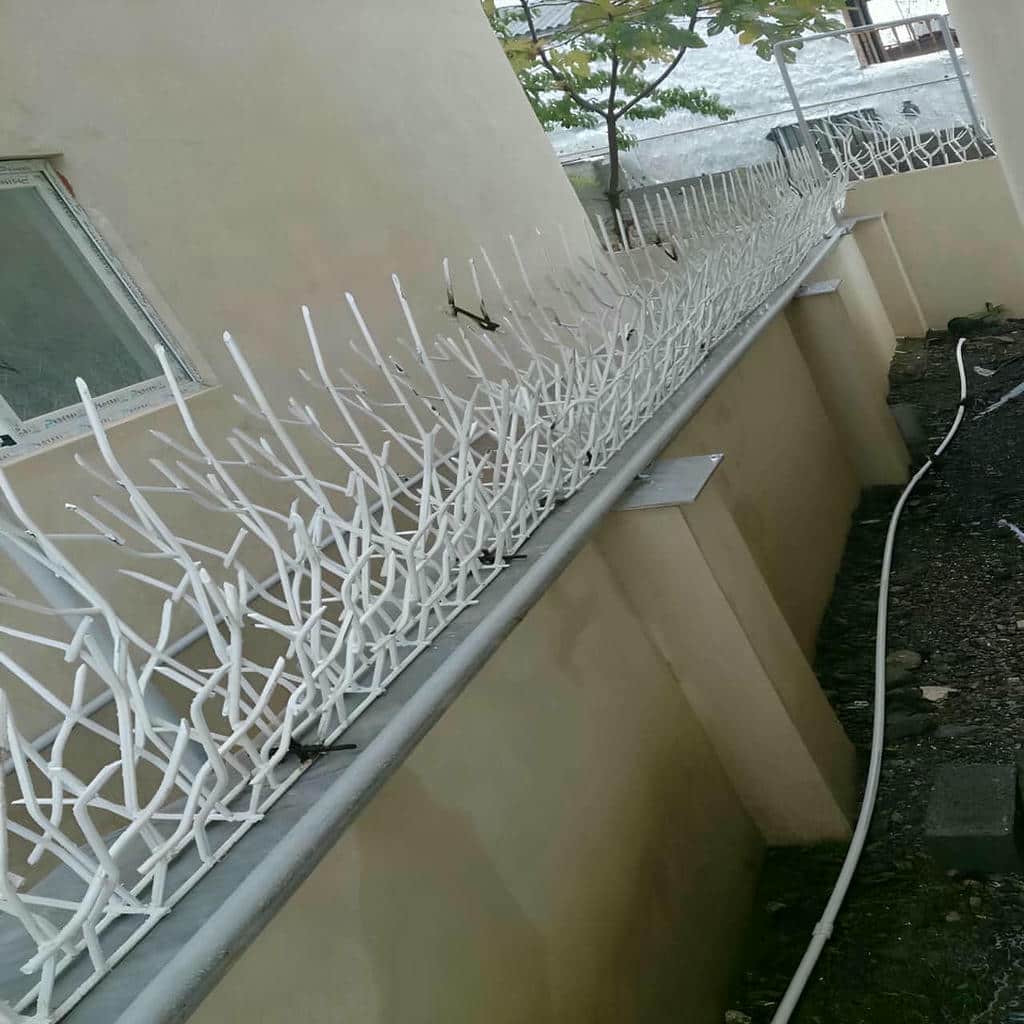 خرید حفاظ شاخ گوزنی ارتفاع متناسب در تبریز