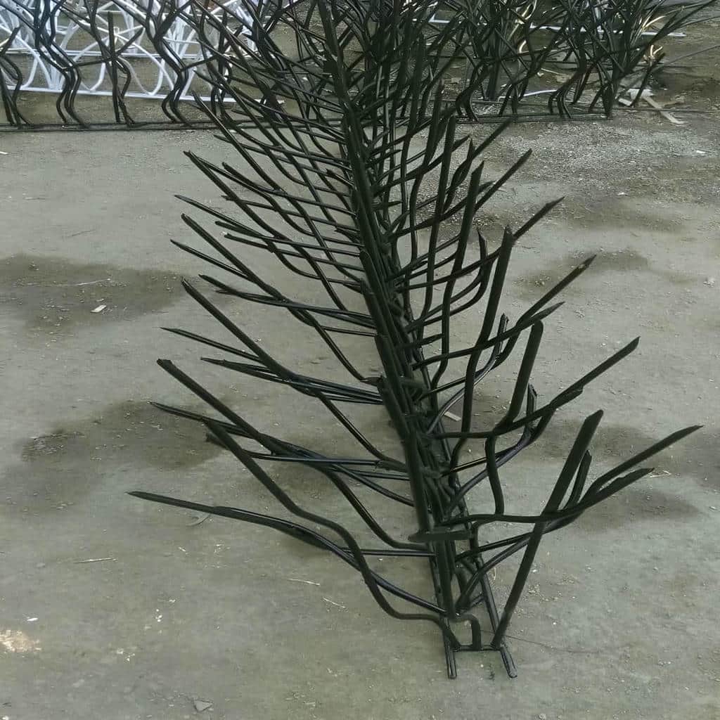 حفاظ شاخ گوزنی در شیراز