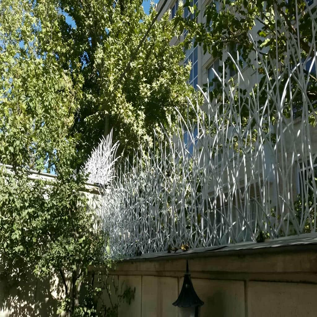 خرید حفاظ شاخ گوزنی ساحلی در بندر لنگه